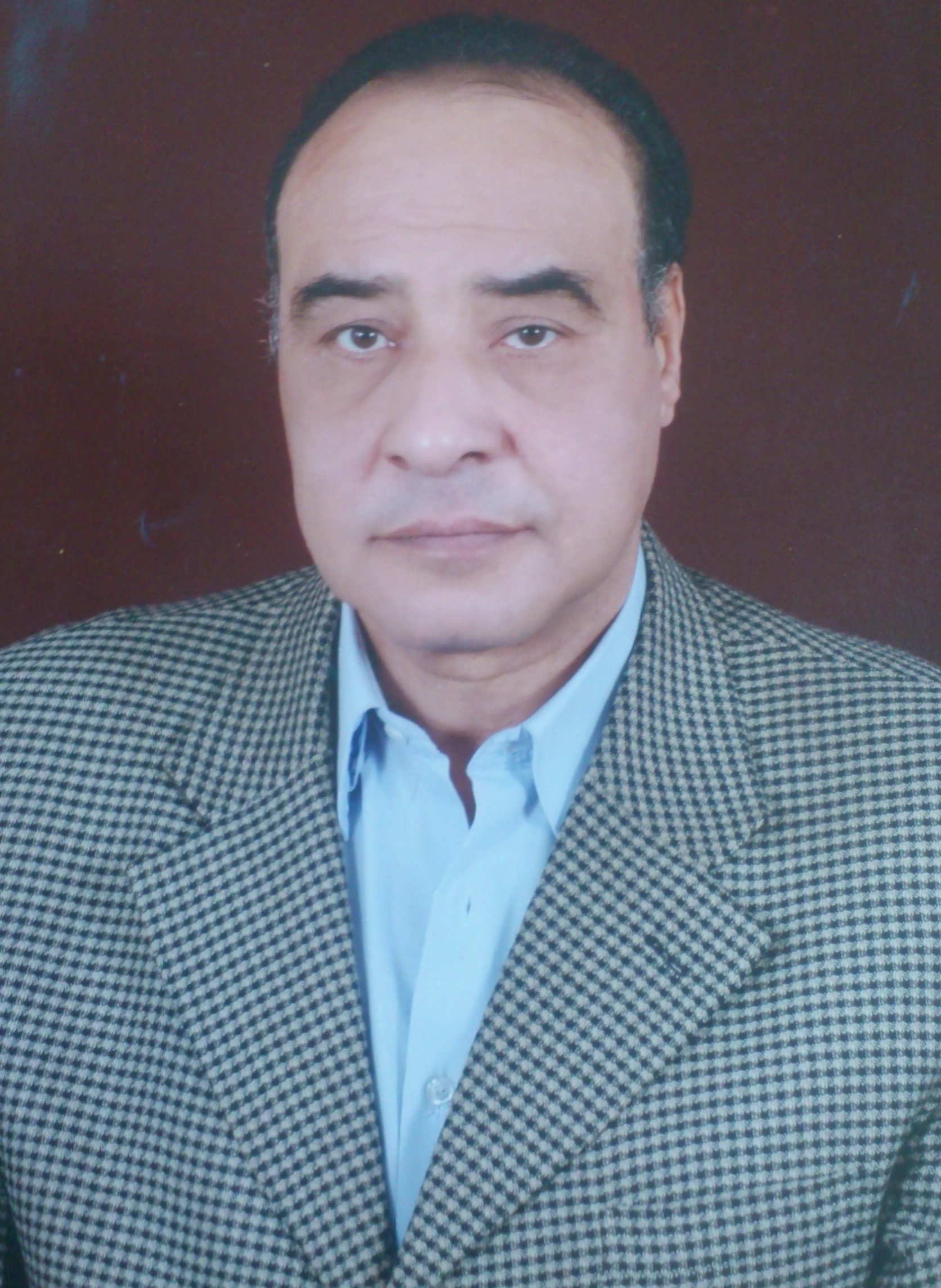 Khairy Hussein Mustafa El Najjar